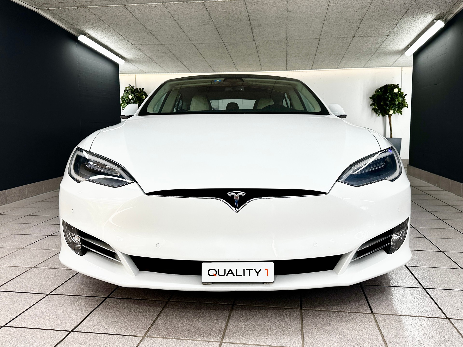 TESLA Model S 100 D-image-8