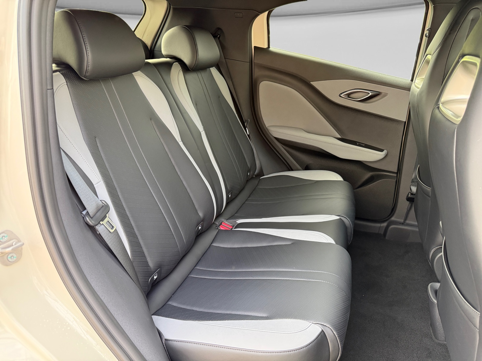BYD Dolphin Surf 43 kWh Comfort-image-17