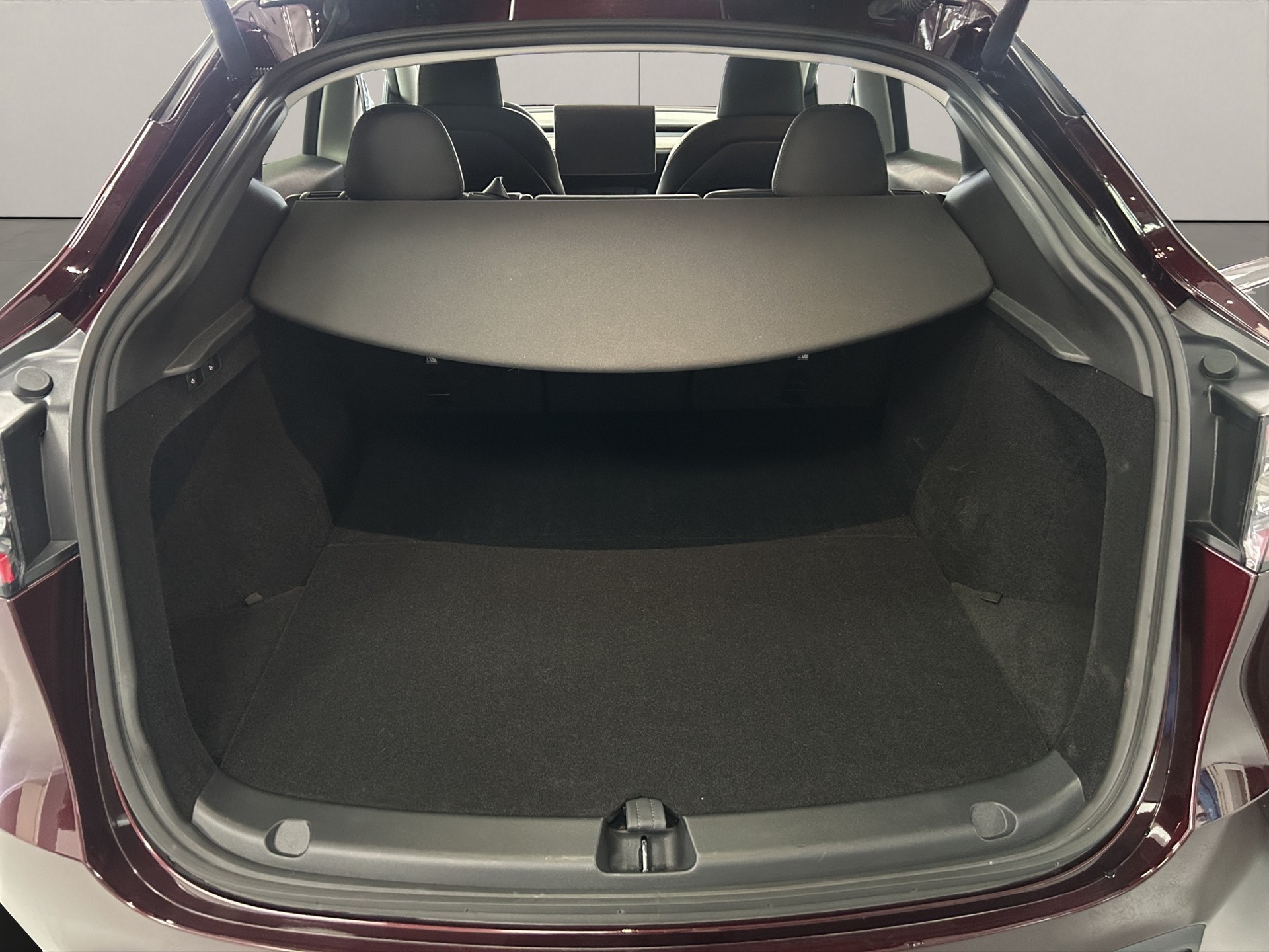 TESLA Model Y Long Range-image-10