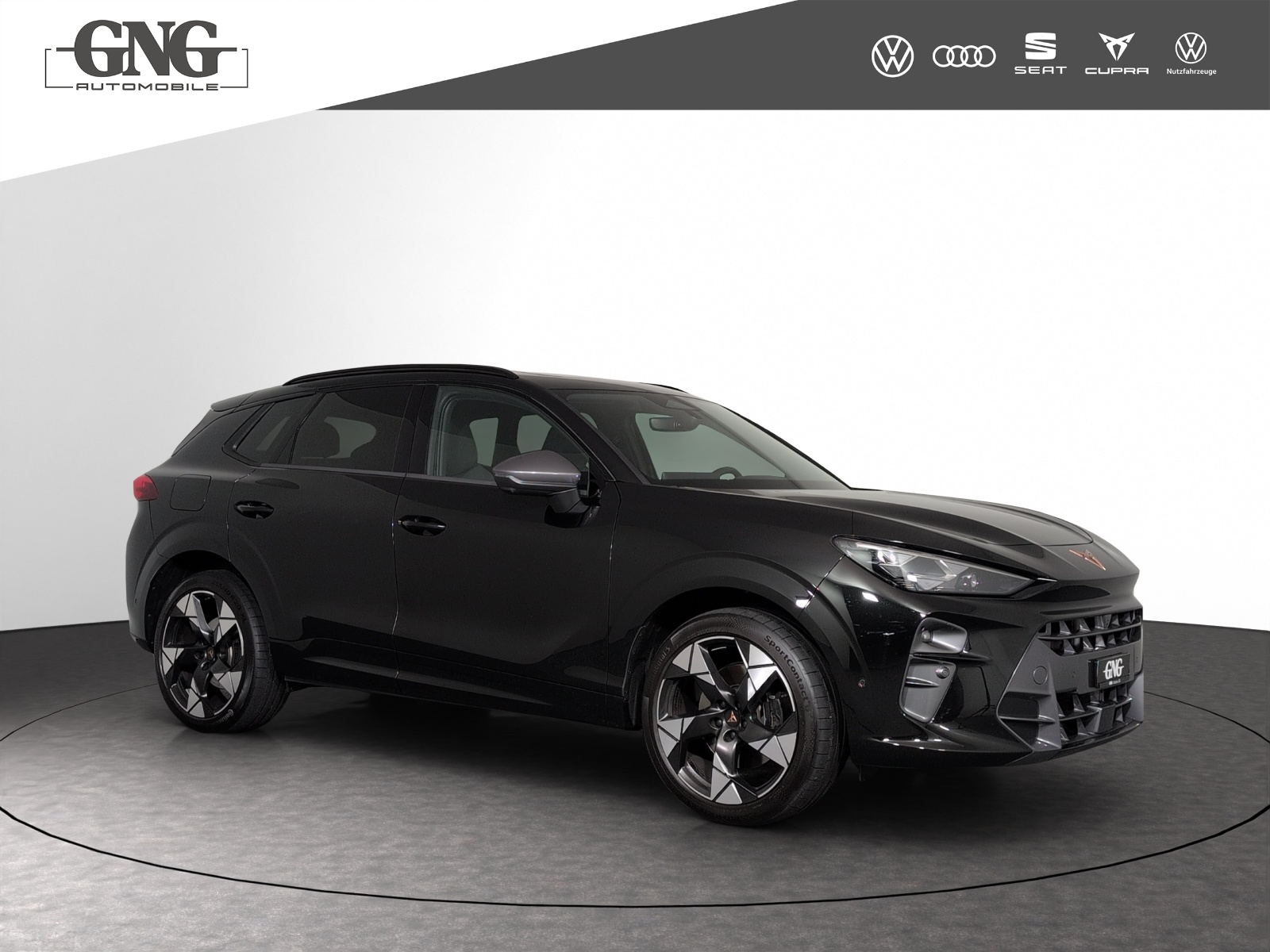 CUPRA Terramar 2.0 TSI DSG 4Drive VZ-image-3
