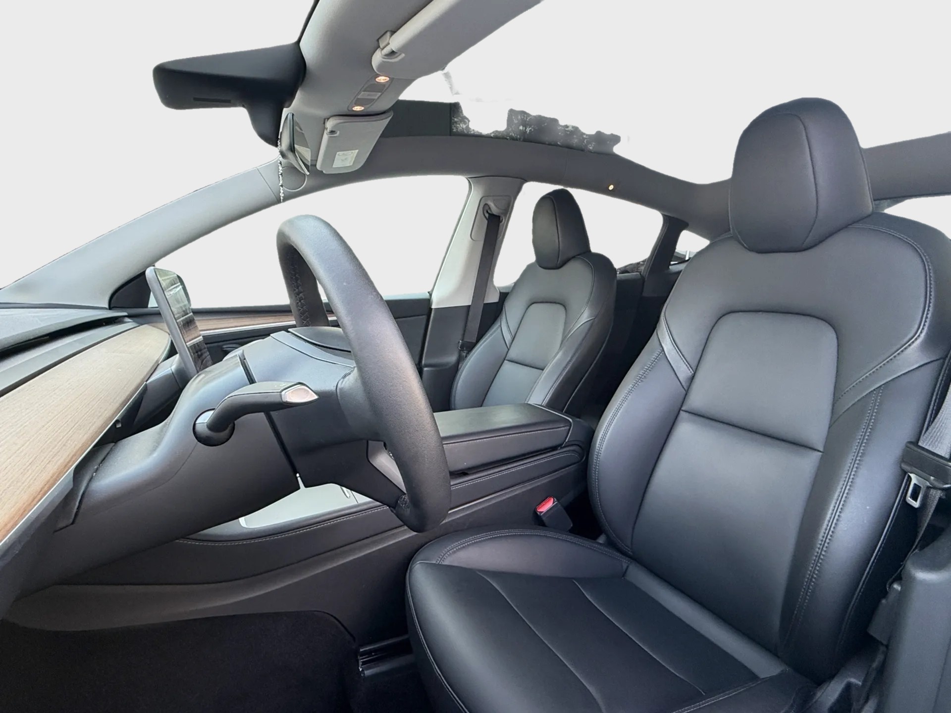 TESLA Model Y Performance-image-8