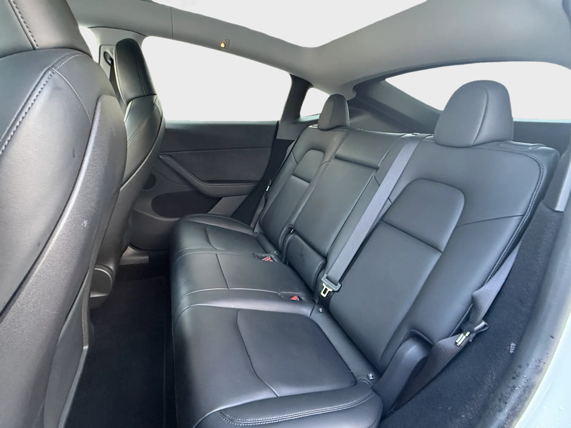 TESLA Model Y Performance-image-9