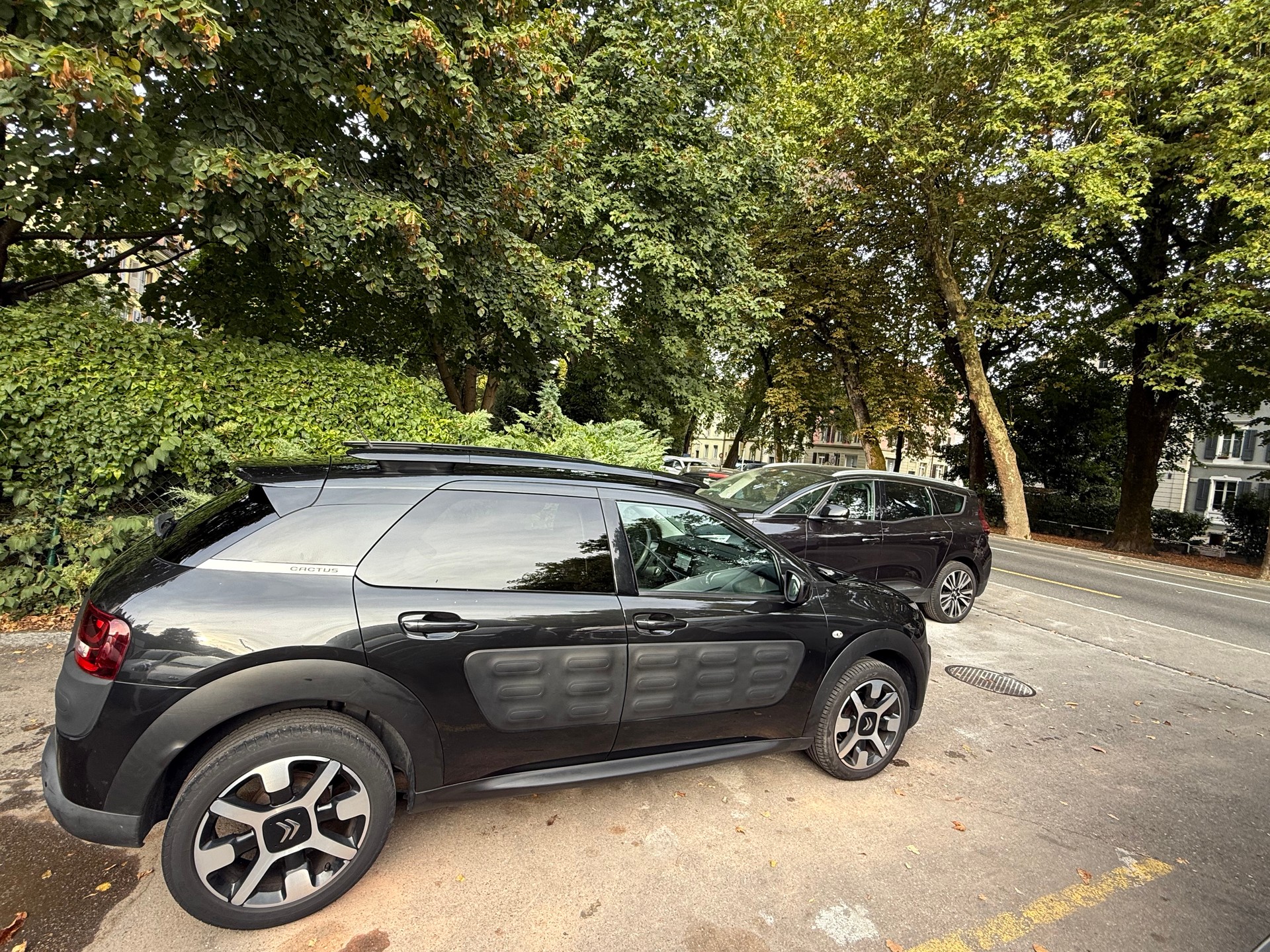 CITROEN C4 Cactus 1.2 e-THP Rip Curl-image-3