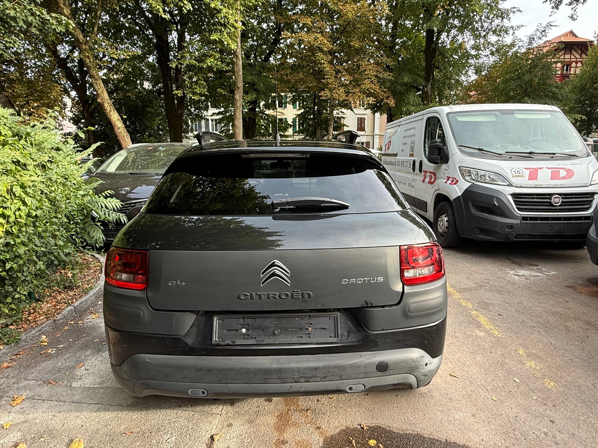 CITROEN C4 Cactus 1.2 e-THP Rip Curl-image-2