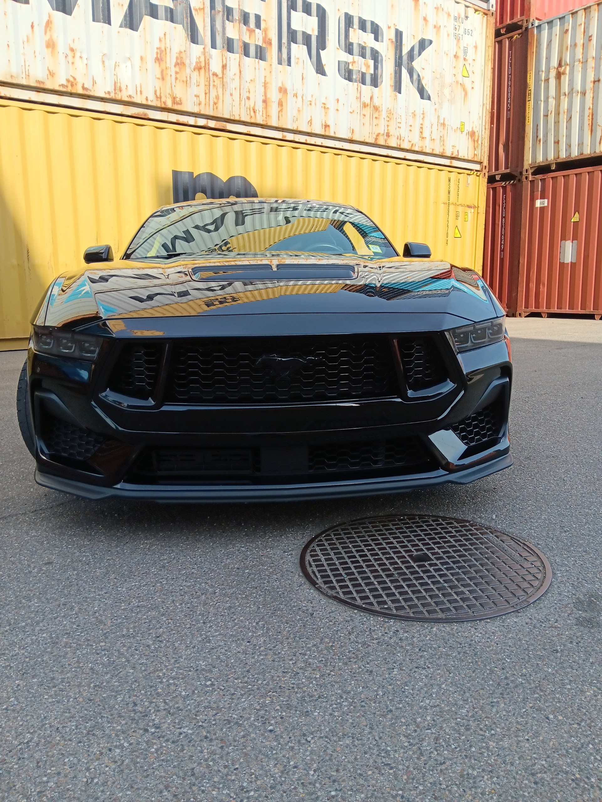 FORD Mustang GT Premium /Performance / Recaro and fully loaded Verkauf durch den Importeur Sutter US Cars and More-image-5