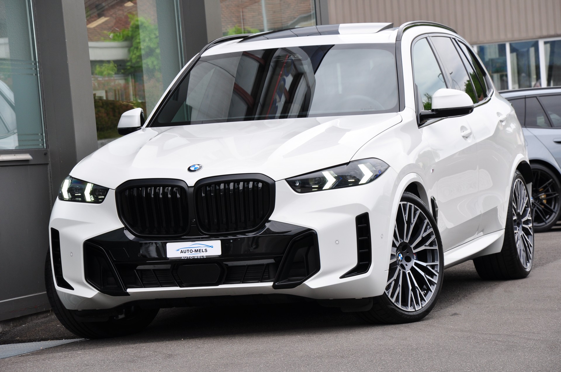BMW X5 xDrive 48V 40d M Sport Pro Steptronic **7-PLÄTZE**-showroom-element-2