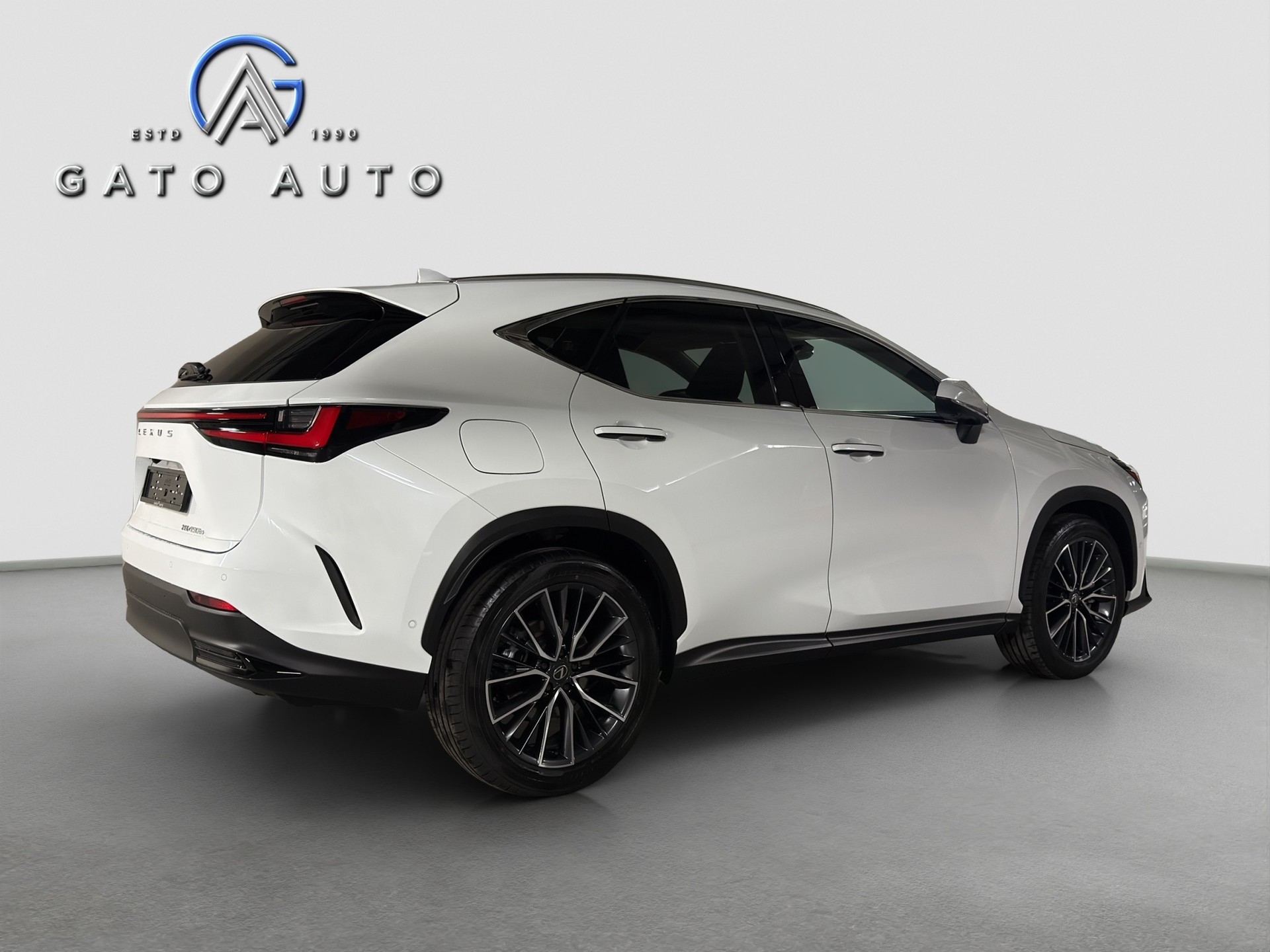 LEXUS NX 450h+ E-FOUR Excellence-showroom-element-2