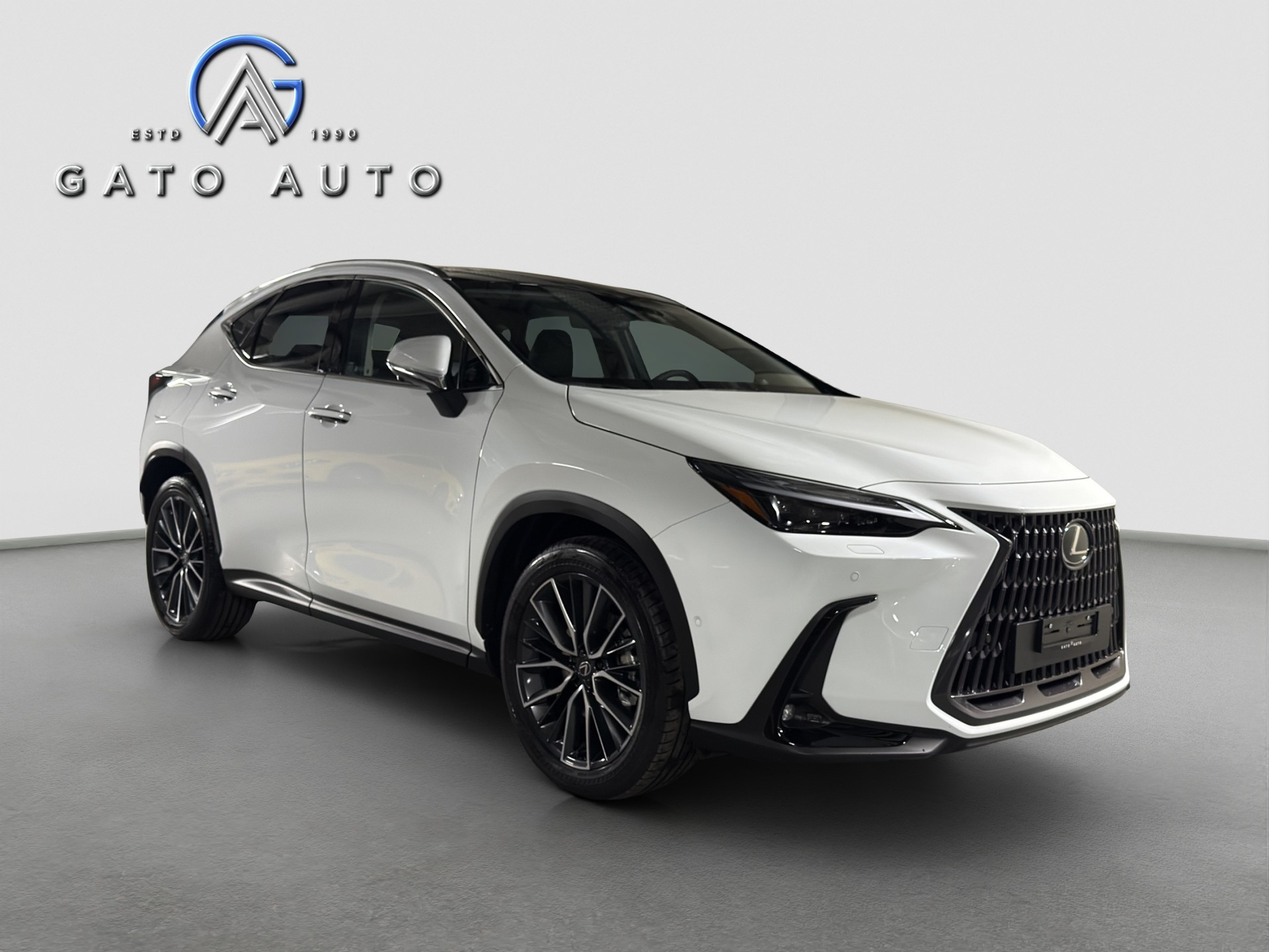 LEXUS NX 450h+ E-FOUR Excellence