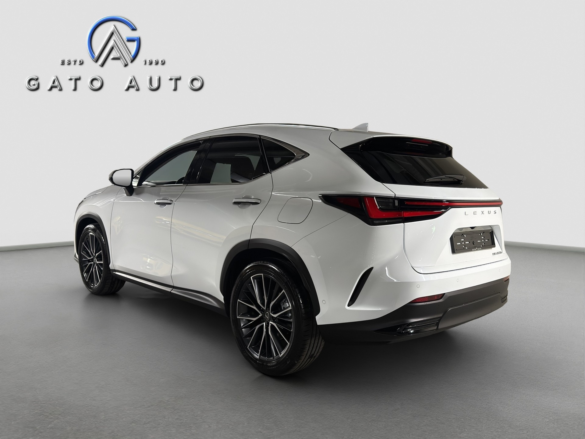 LEXUS NX 450h+ E-FOUR Excellence-showroom-element-1