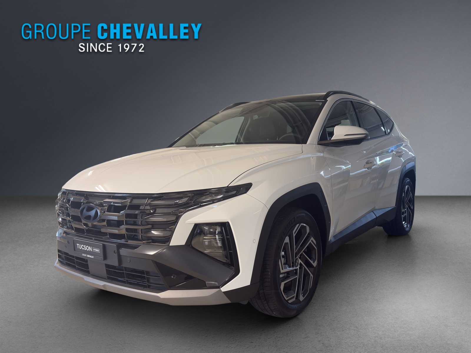 Photo HYUNDAI TUCSON Tucson 1.6 TGDI HEV Vertex Swiss Edition 4WD