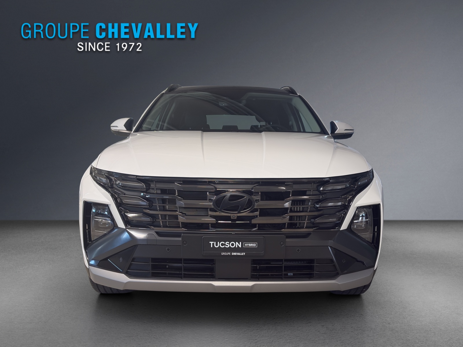 HYUNDAI Tucson 1.6 TGDI HEV Vertex Swiss Edition 4WD-image-1
