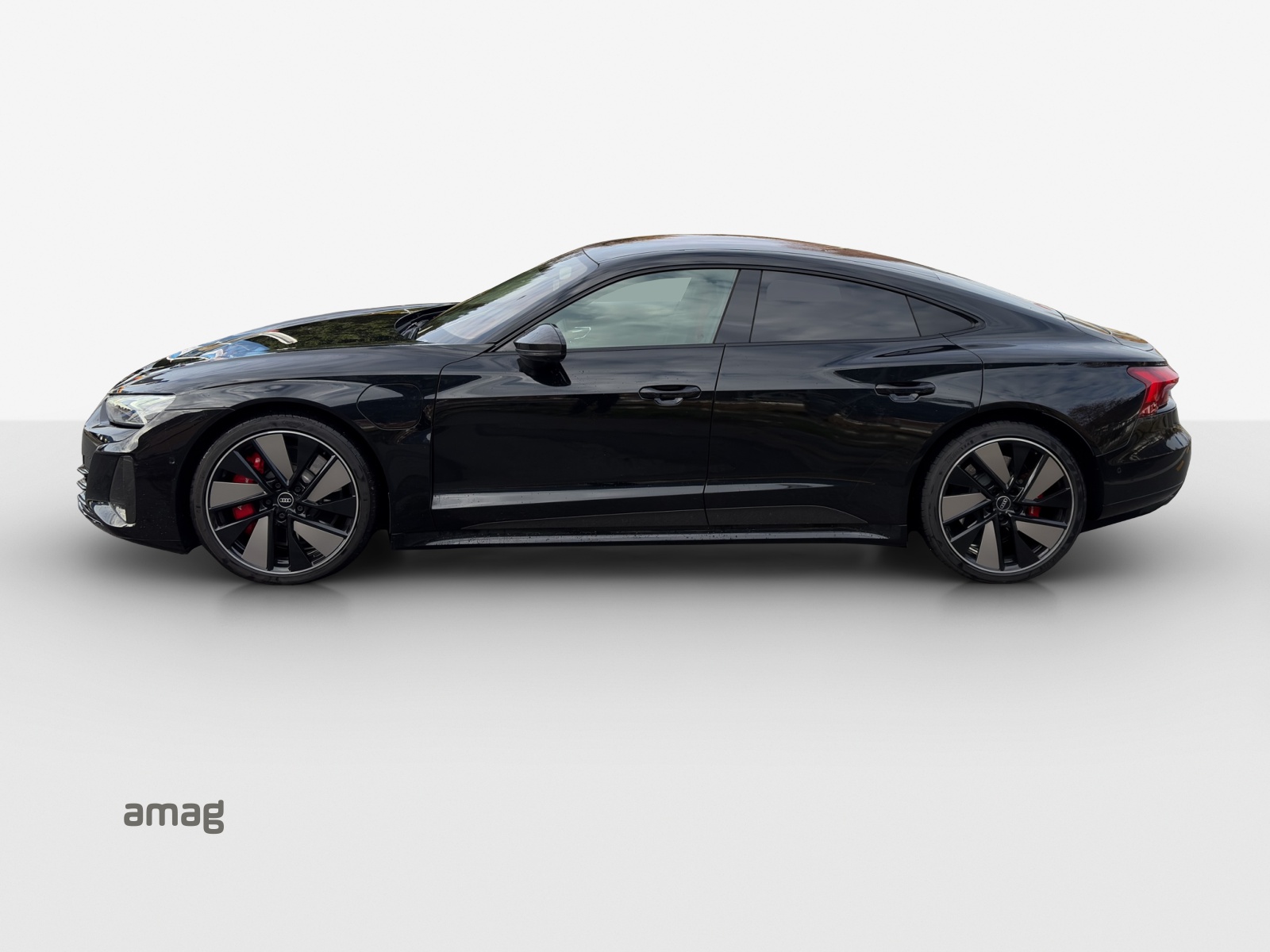 AUDI RS e-tron GT quattro-image-1