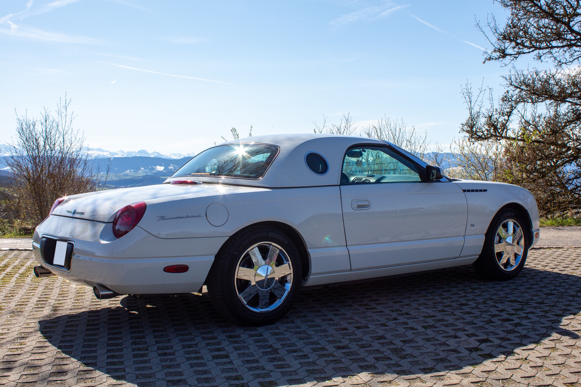 FORD Thunderbird-image-1