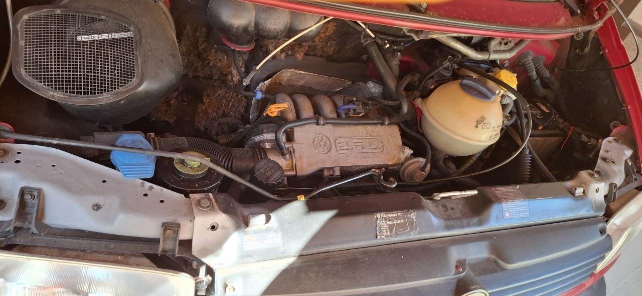 VW Syncro-image-6