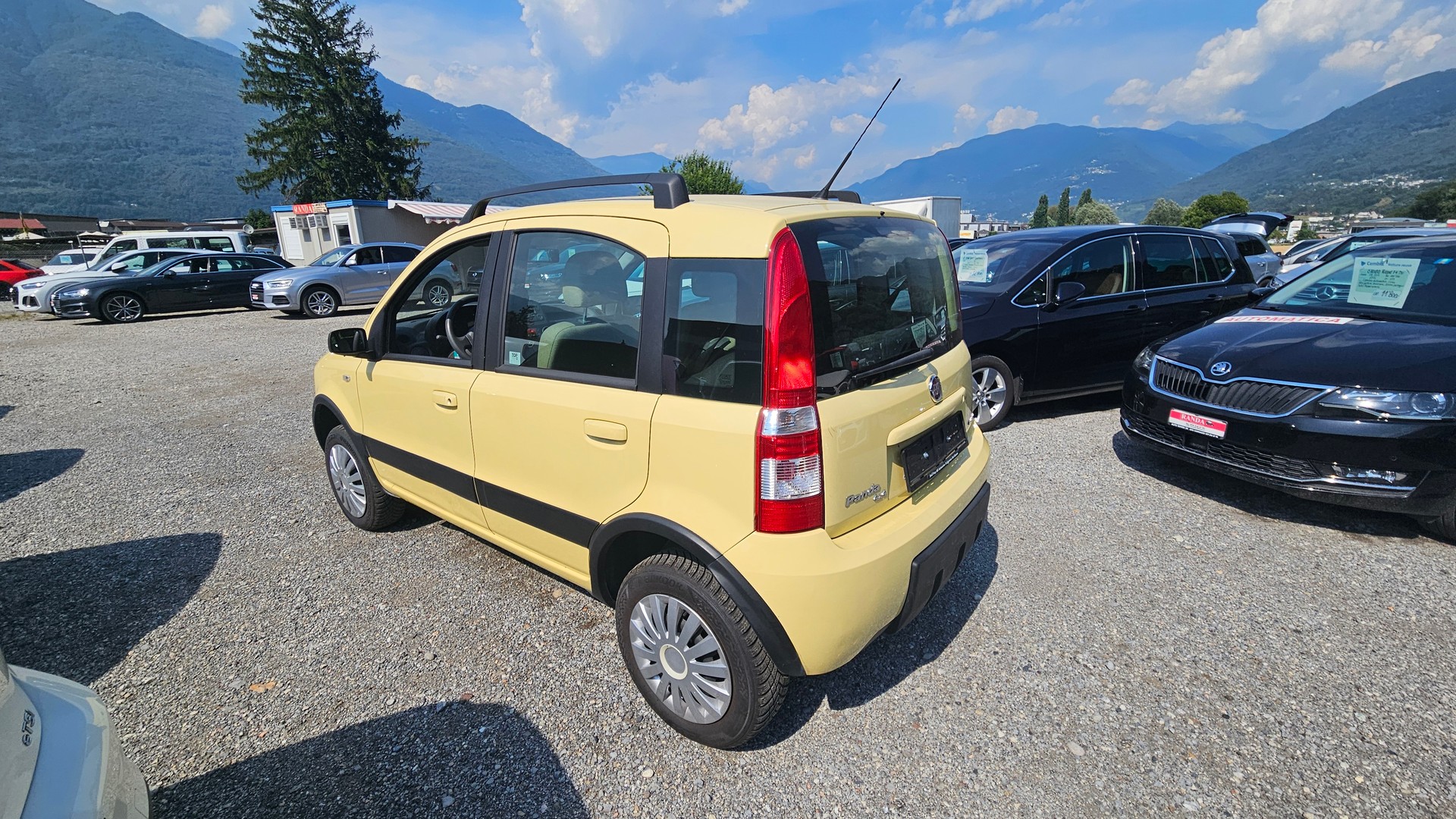 FIAT Panda 1.3 16V JTD 4x4 (Trekking)-image-3