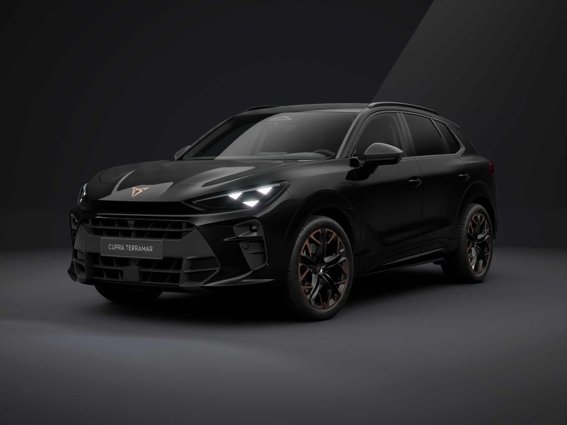 CUPRA Terramar 1.5 eHybrid DSG VZ-image-2
