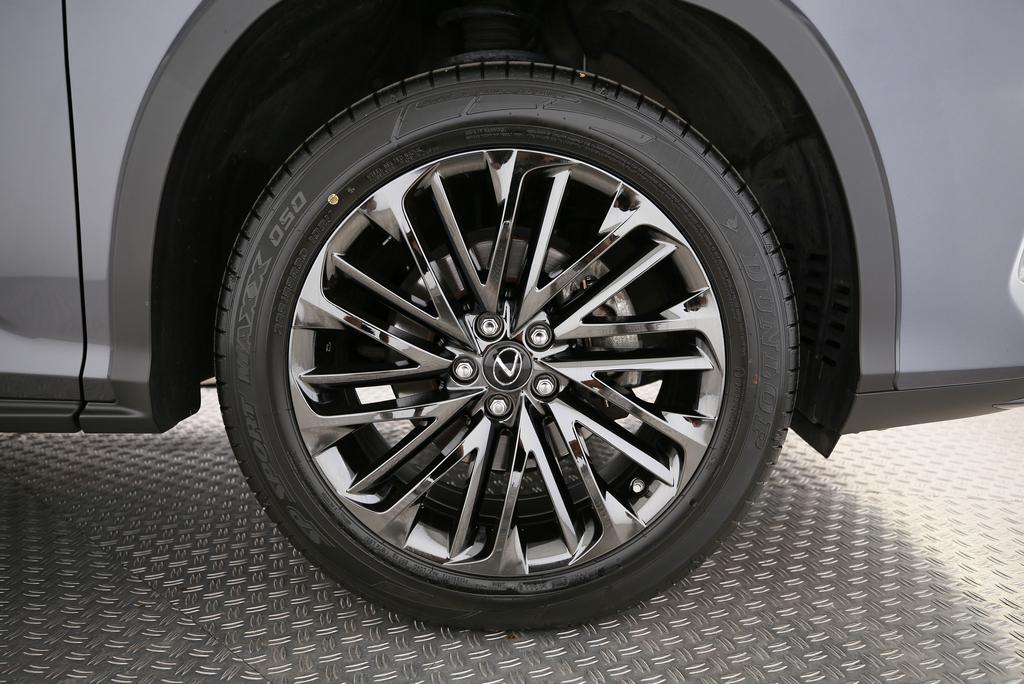 LEXUS RX 300 Special Edition-image-12