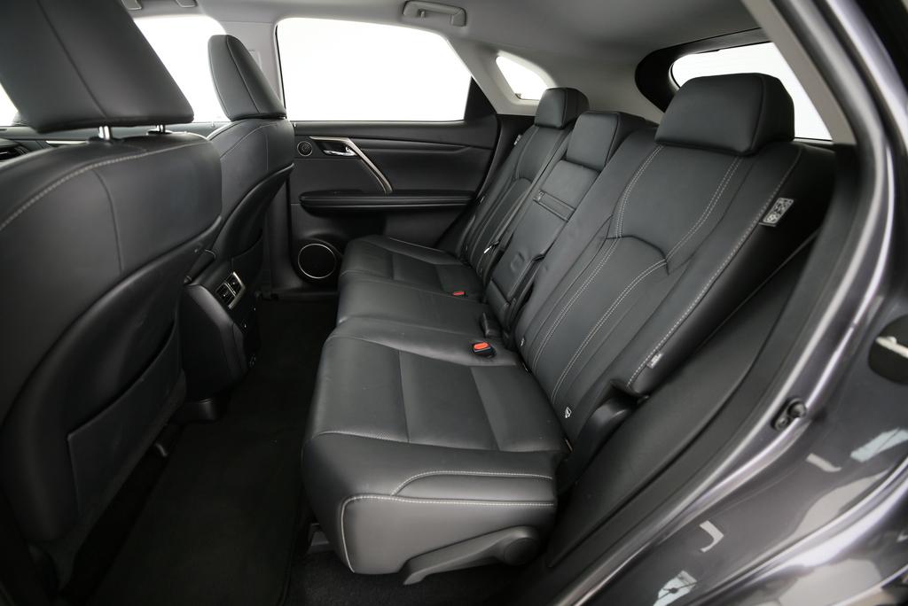 LEXUS RX 300 Special Edition-image-9