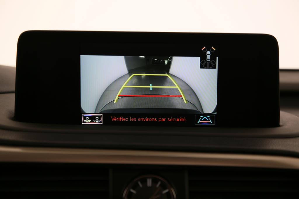 LEXUS RX 300 Special Edition-image-14