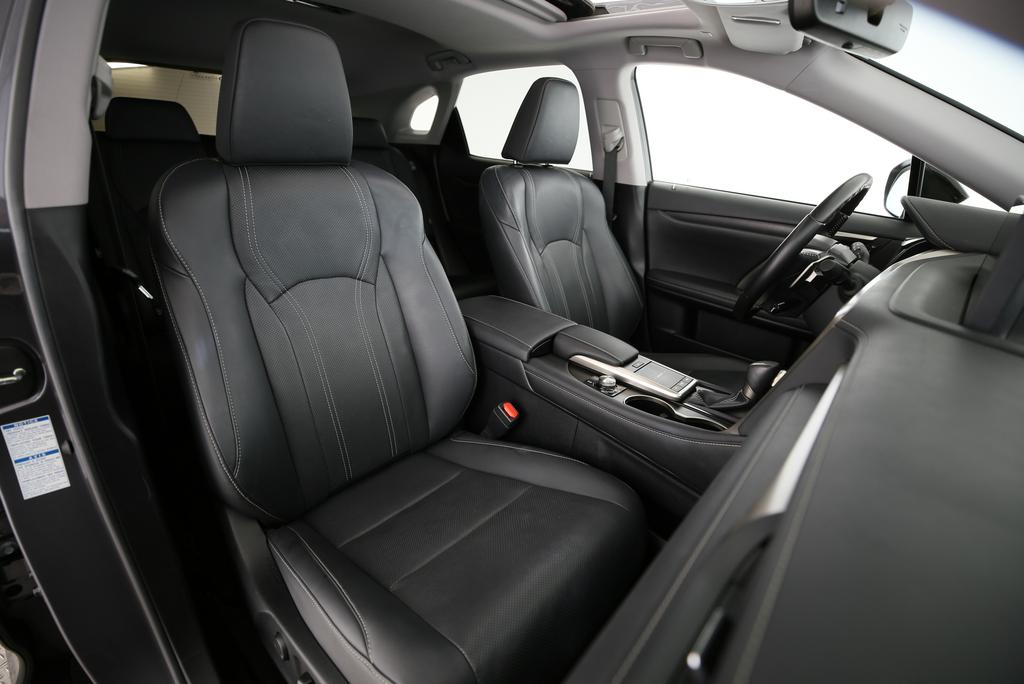 LEXUS RX 300 Special Edition-image-11