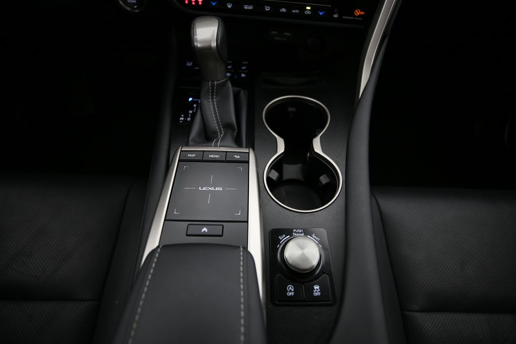 LEXUS RX 300 Special Edition-image-8