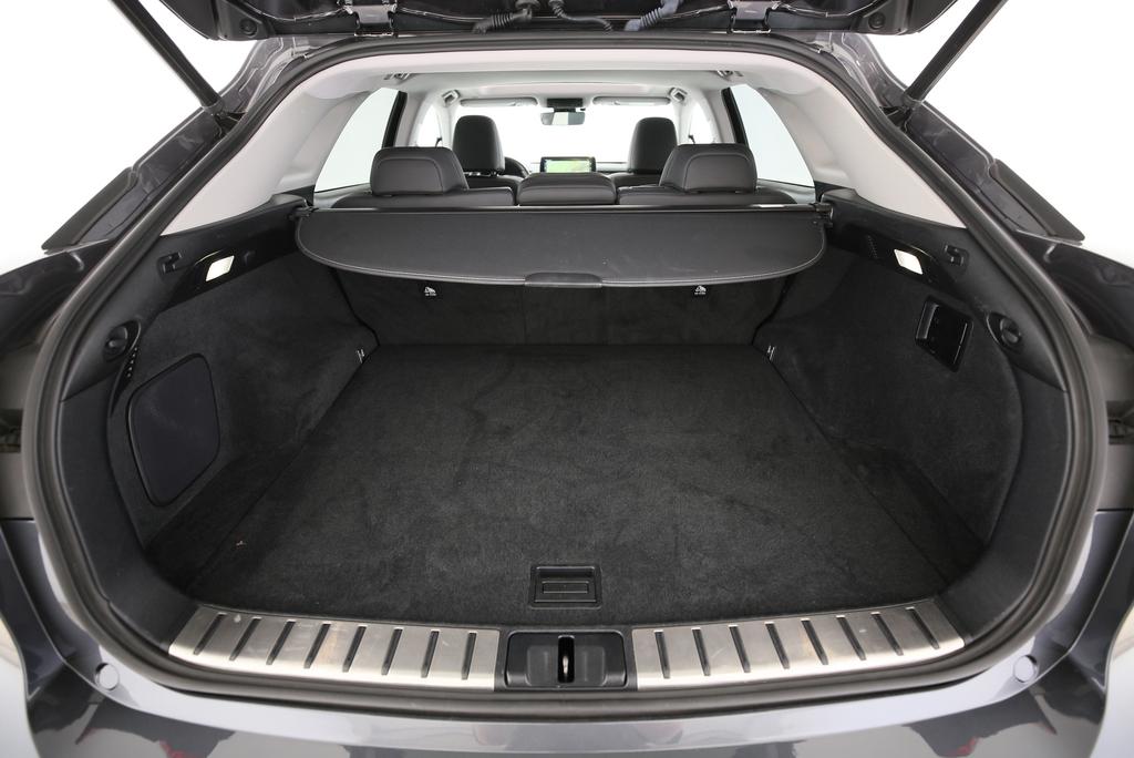 LEXUS RX 300 Special Edition-image-13