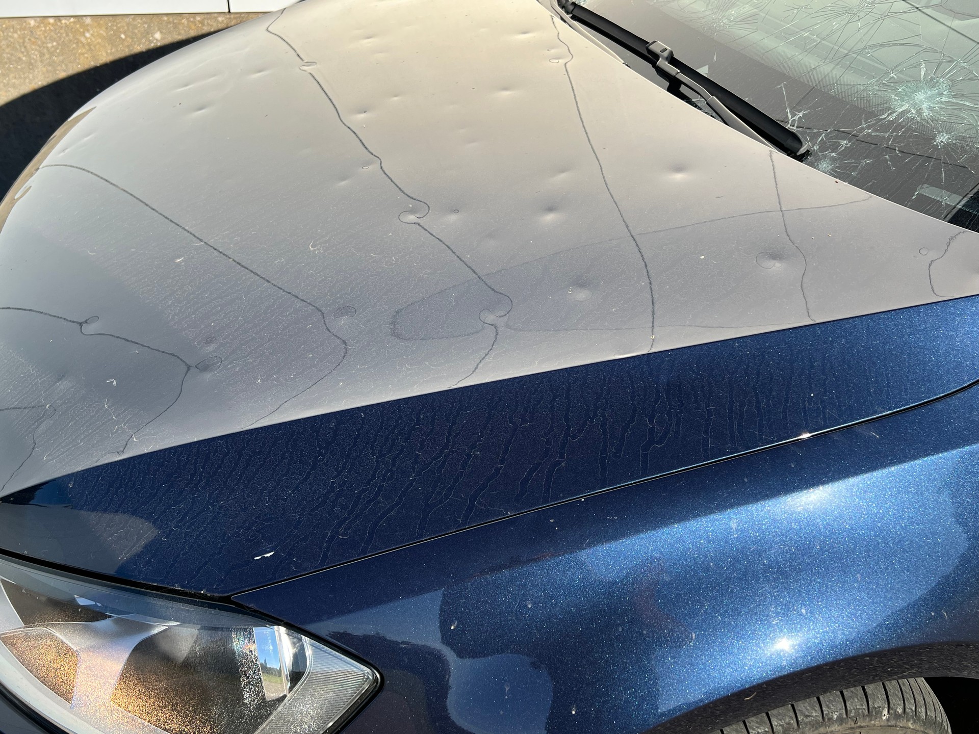 VW Golf Variant 1.4 TSI Lounge-image-14