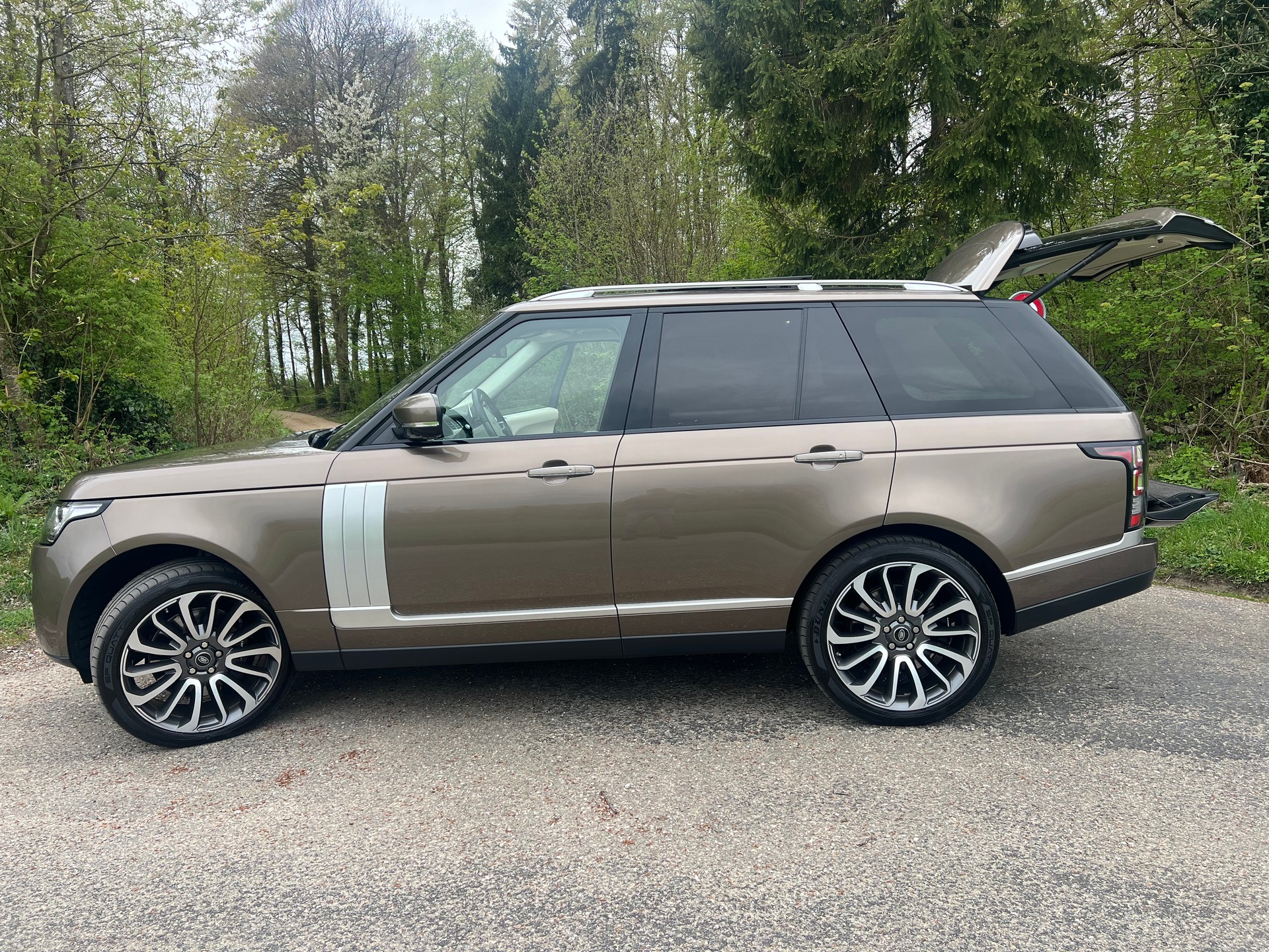 LAND ROVER 4.4 SDV8 Autobiography-image-2