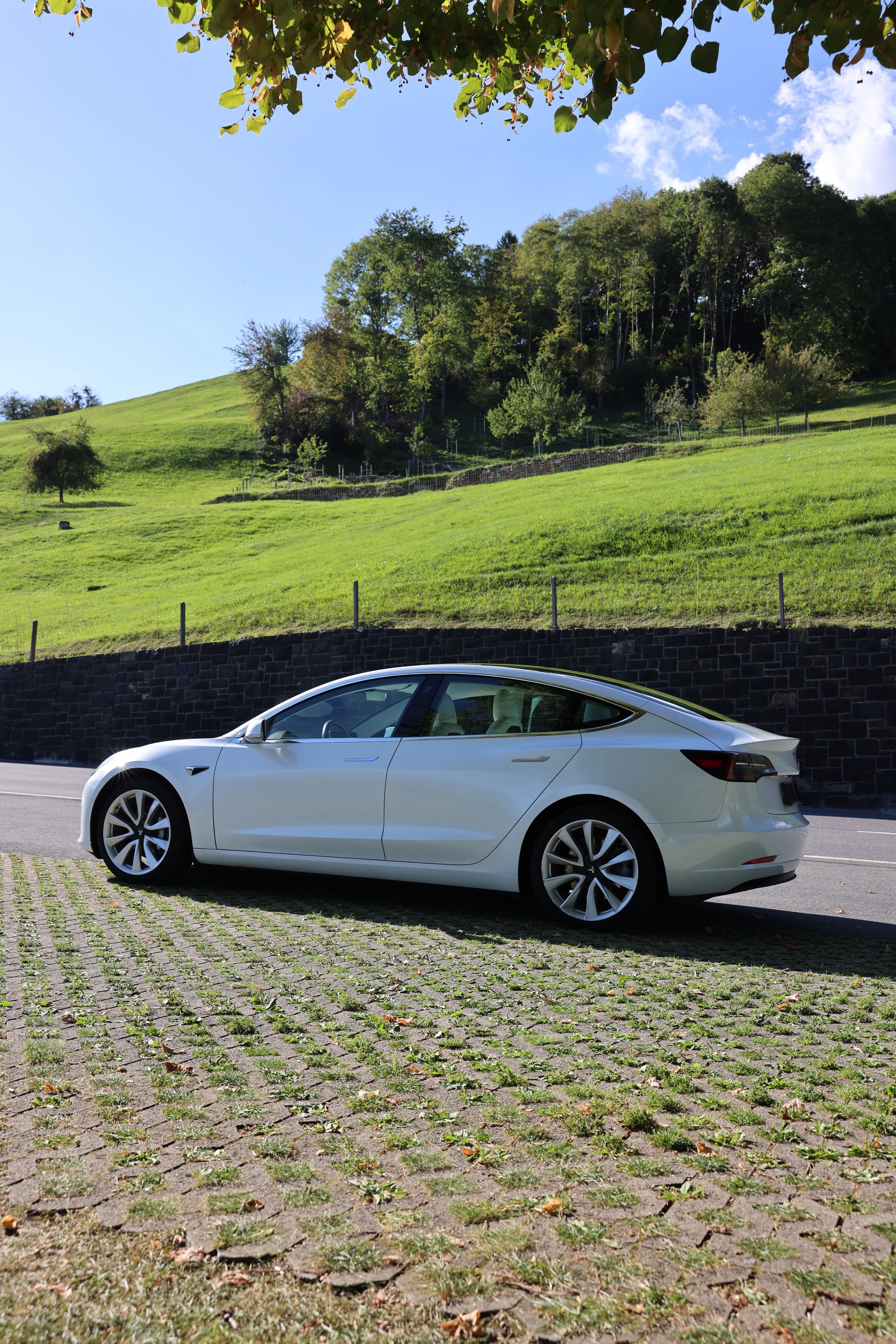 TESLA Long Range Dual Motor AWD-image-0