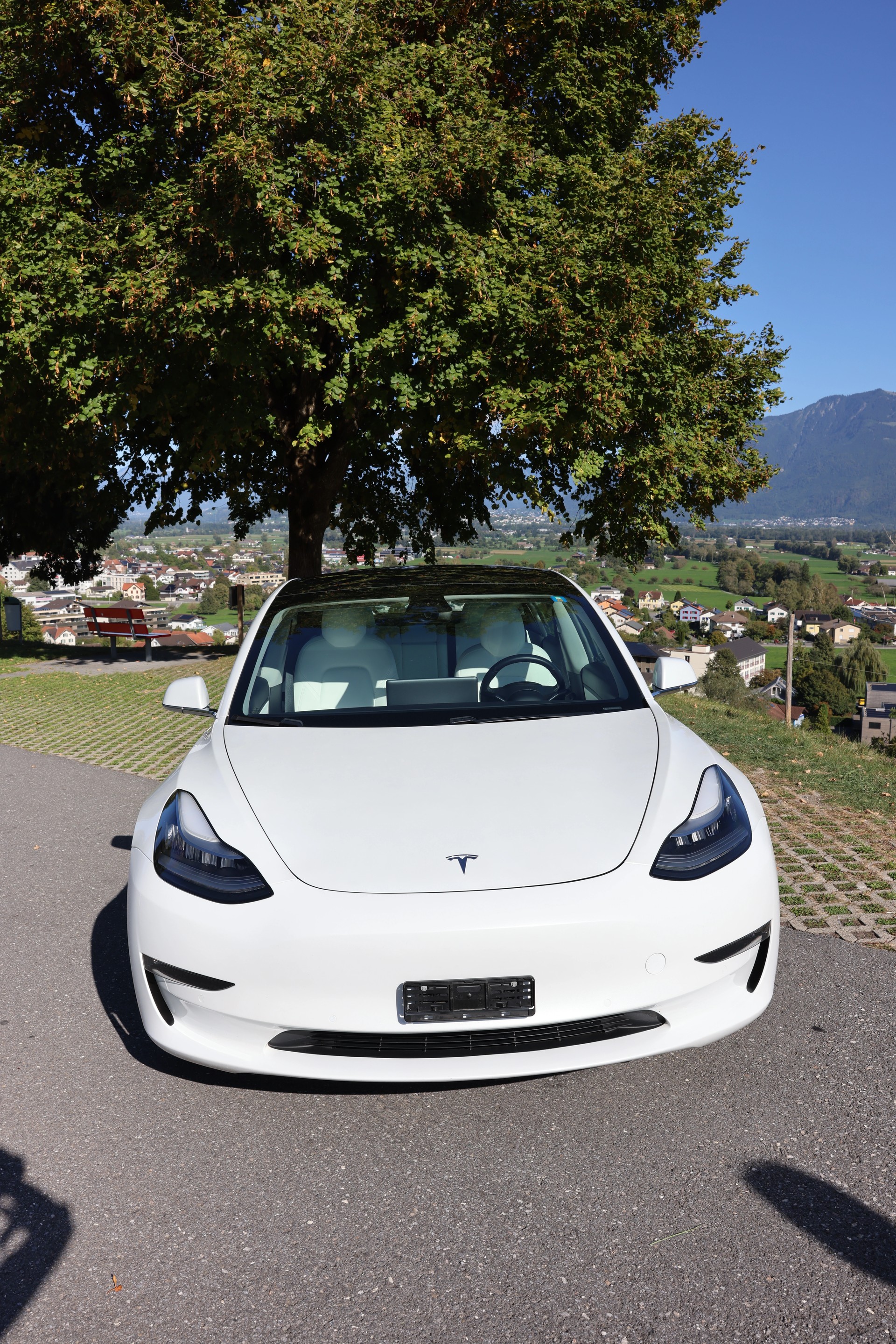 TESLA Long Range Dual Motor AWD-image-1