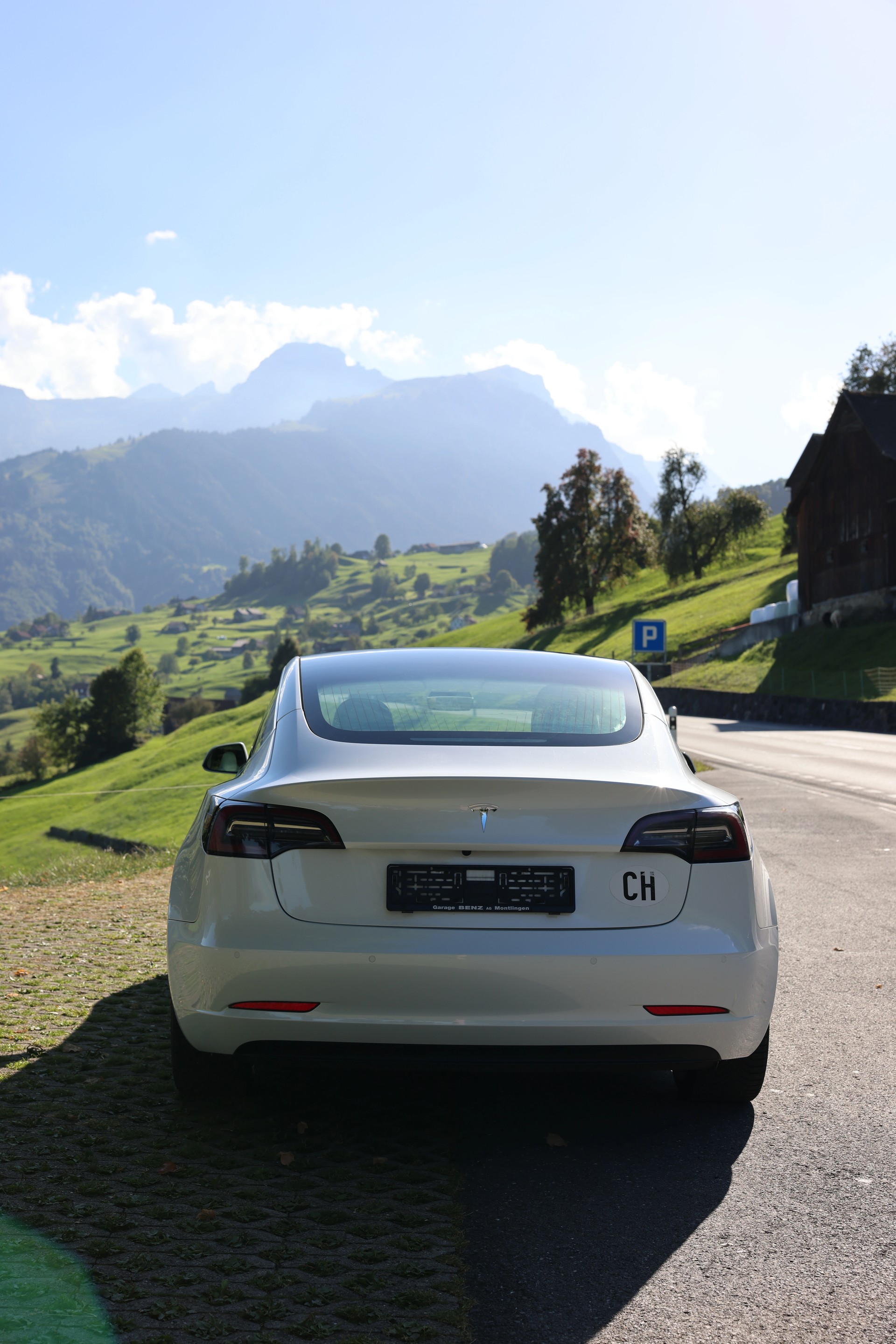 TESLA Long Range Dual Motor AWD-image-2