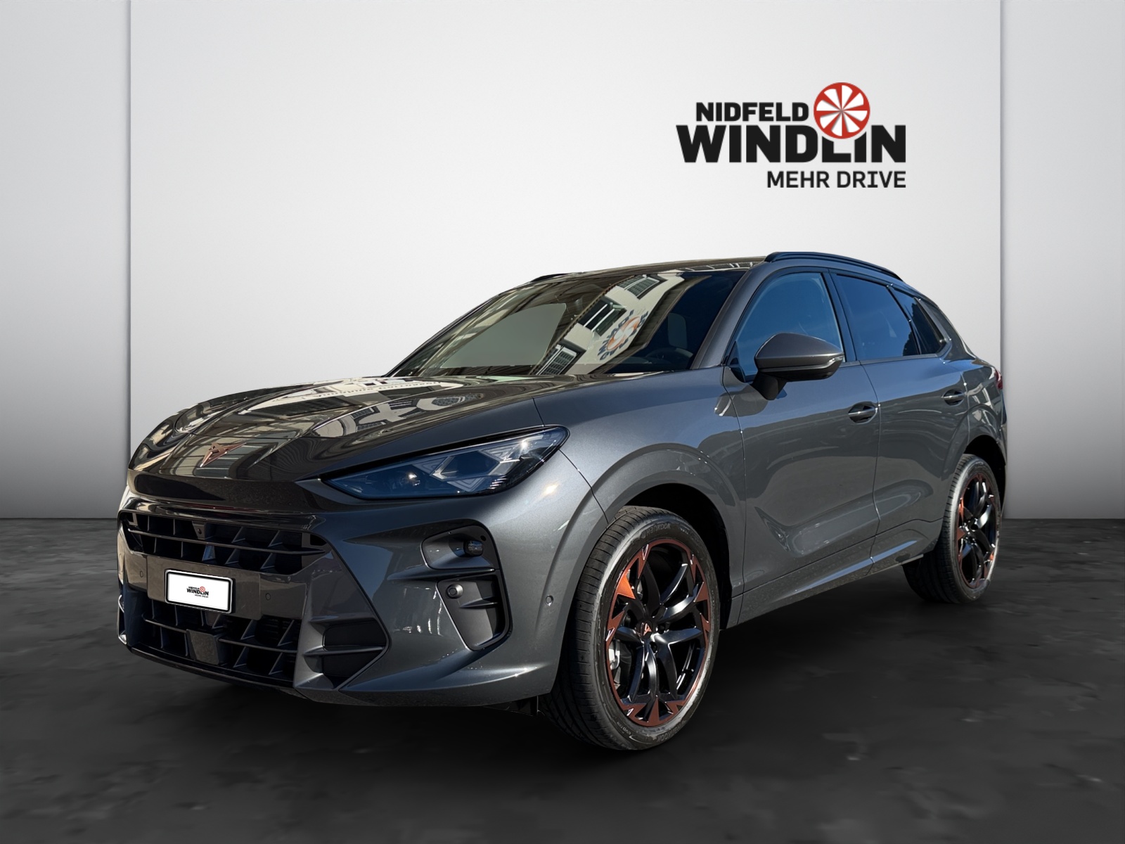 CUPRA Terramar 2.0 TSI Prime Edition 4Drive DSG-image-1