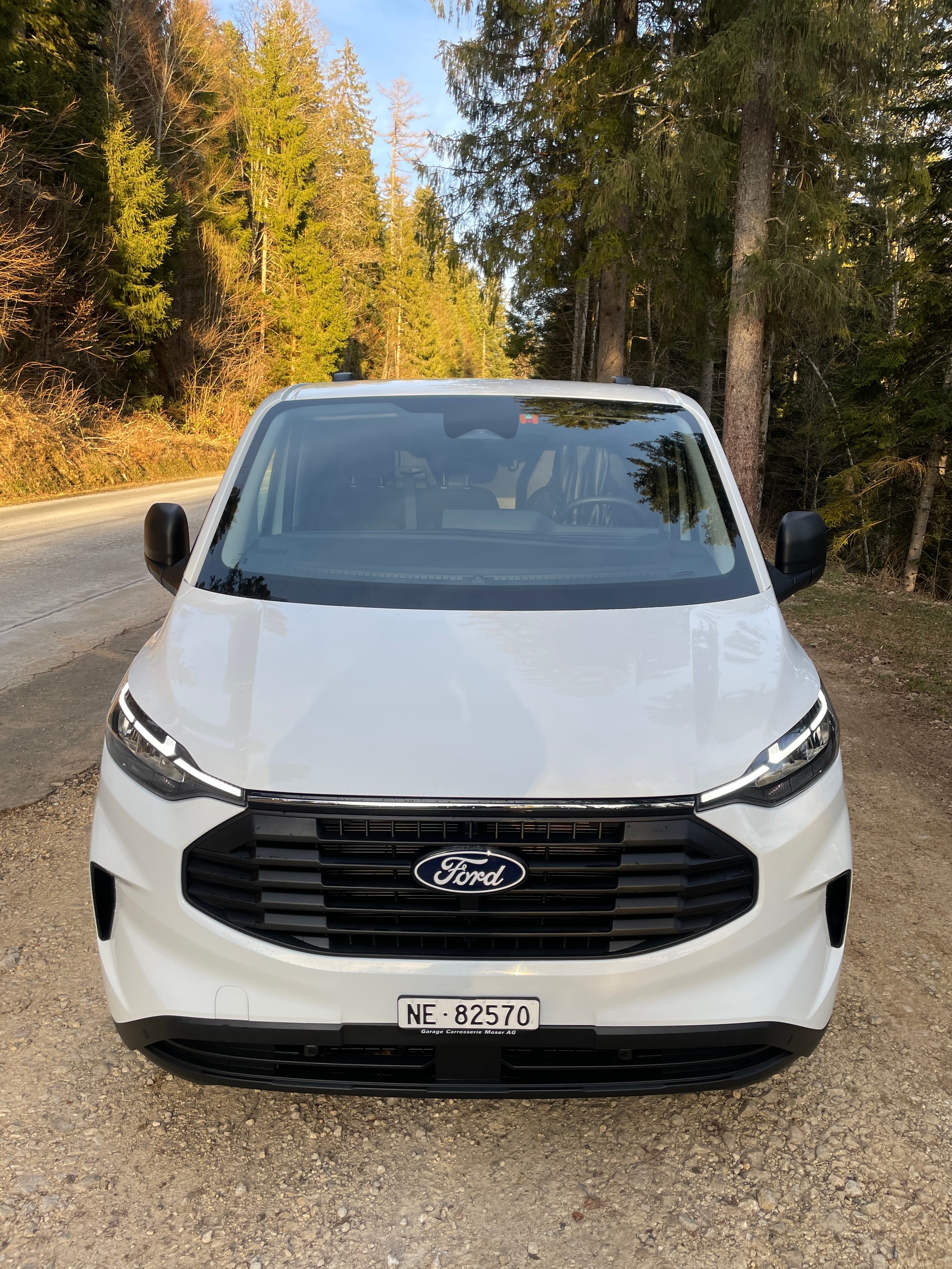 FORD TRANSIT CUSTOM-image-1