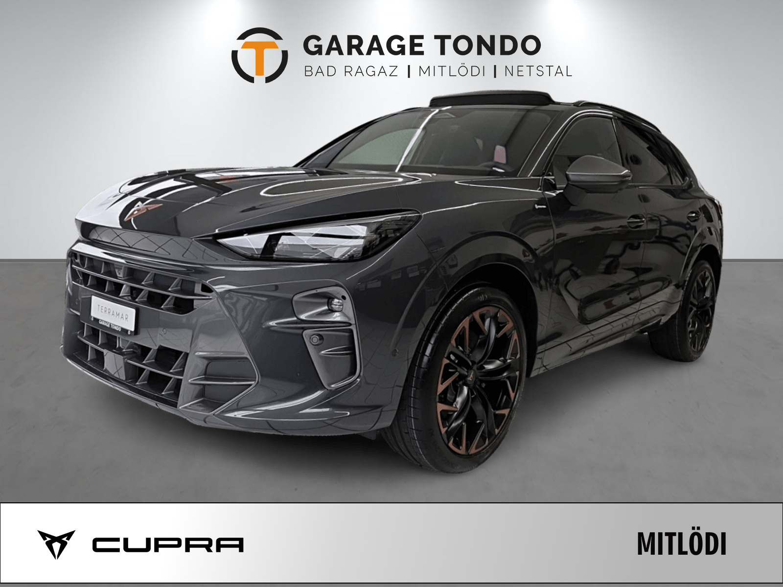 CUPRA Terramar 2.0 TSI Prime Edition VZ 4Drive DSG-image-0