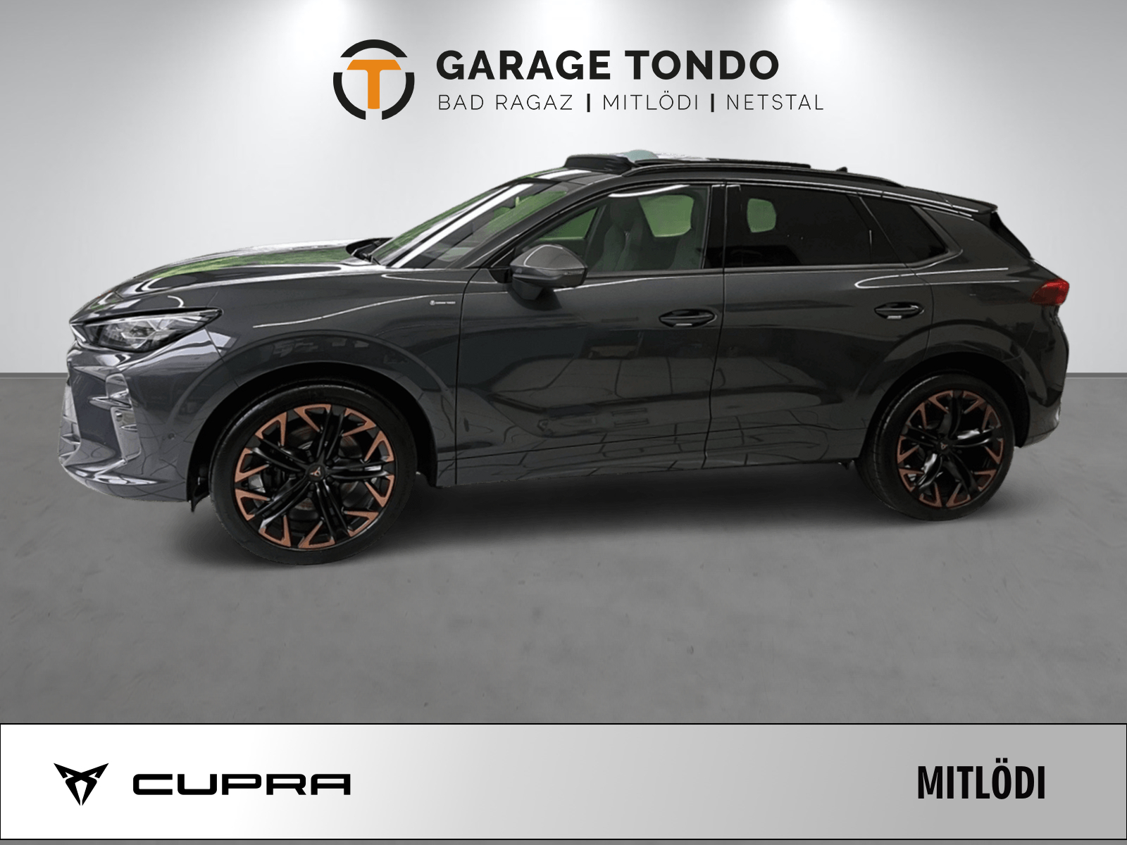 CUPRA Terramar 2.0 TSI Prime Edition VZ 4Drive DSG-image-3