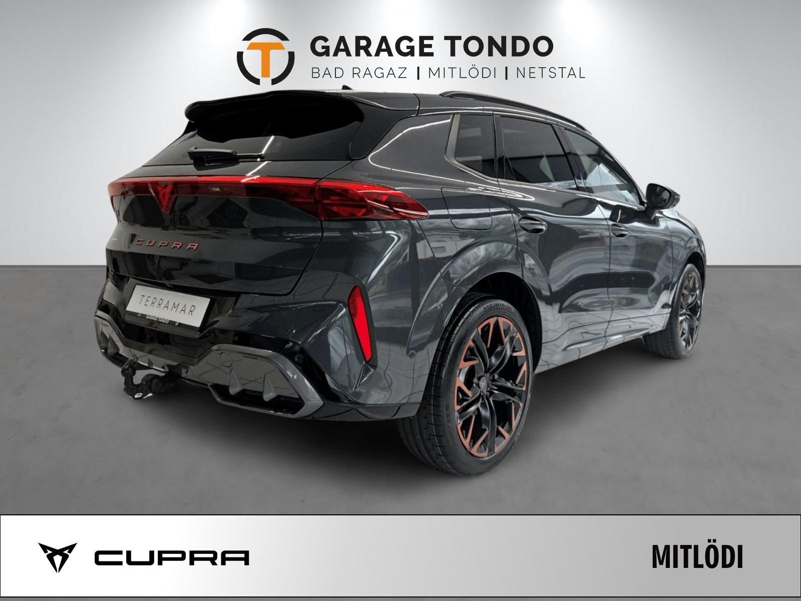 CUPRA Terramar 2.0 TSI Prime Edition VZ 4Drive DSG-image-2