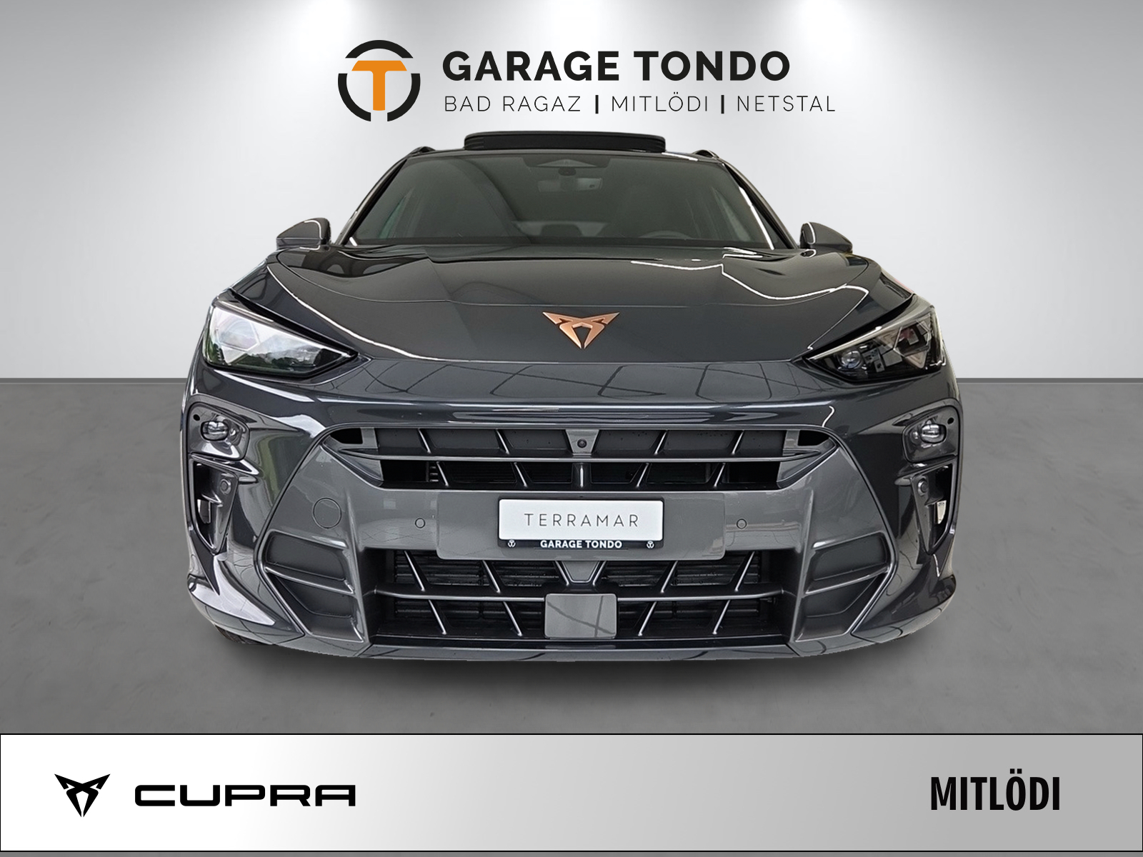 CUPRA Terramar 2.0 TSI Prime Edition VZ 4Drive DSG-image-1