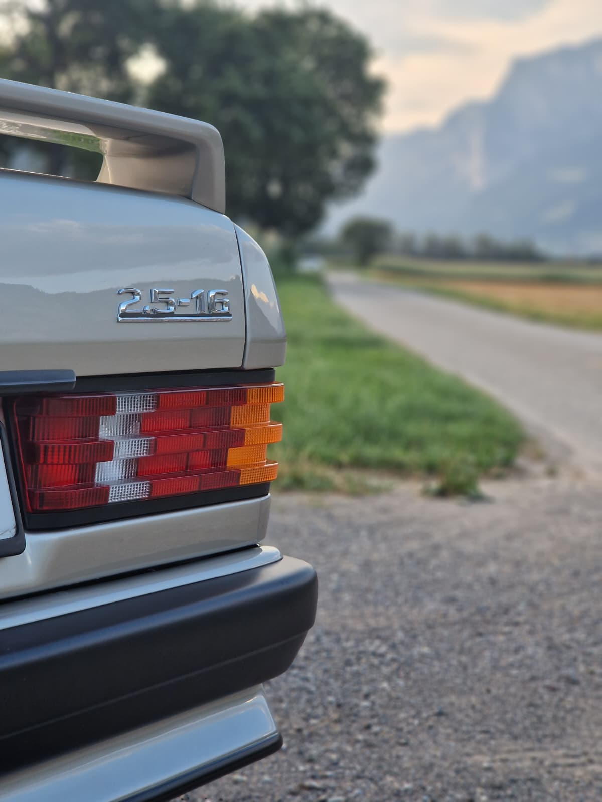 MERCEDES-BENZ 190 E 2.5-16-image-5