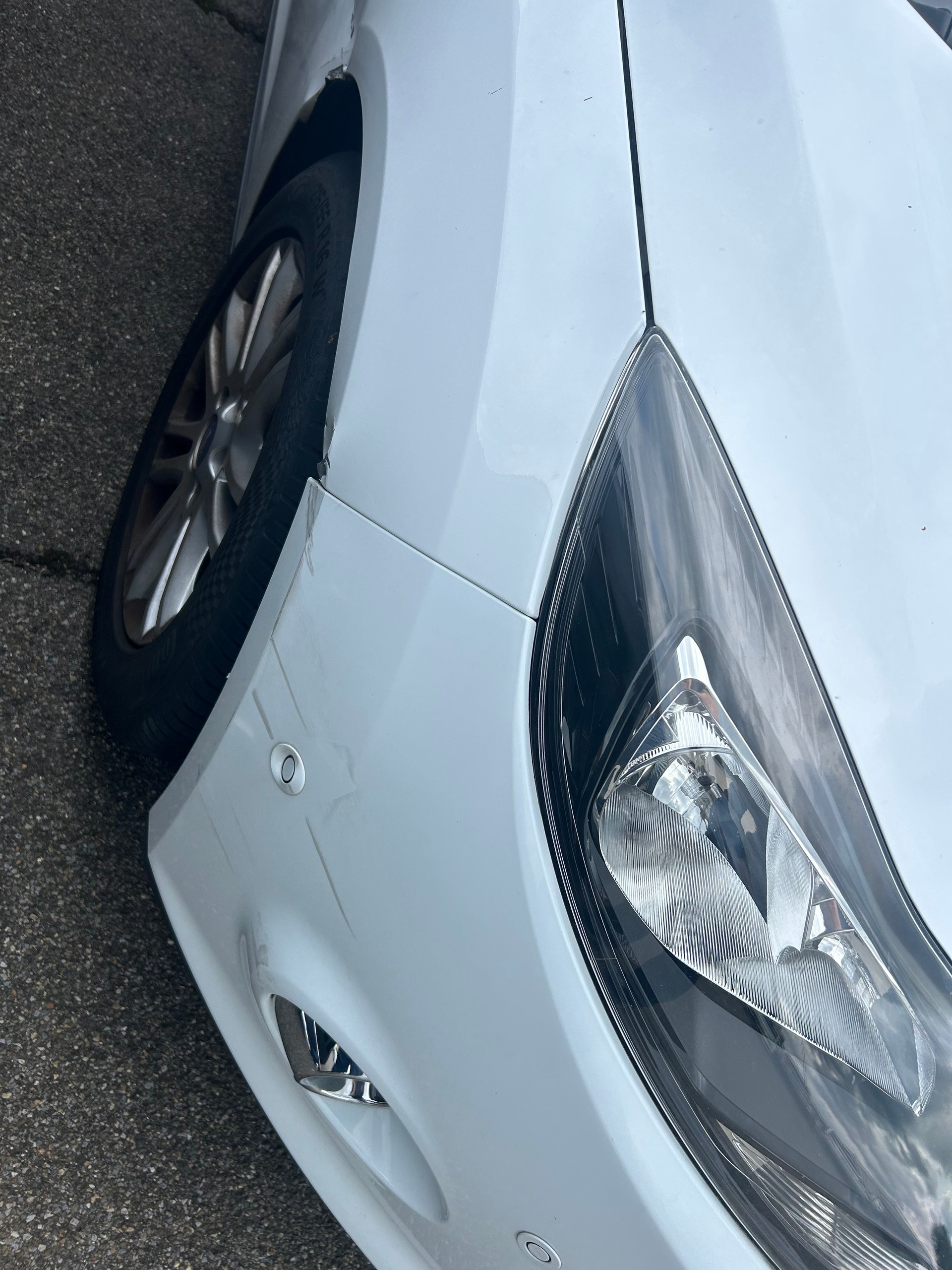 FORD Focus 1.0 SCTi Trend-image-6