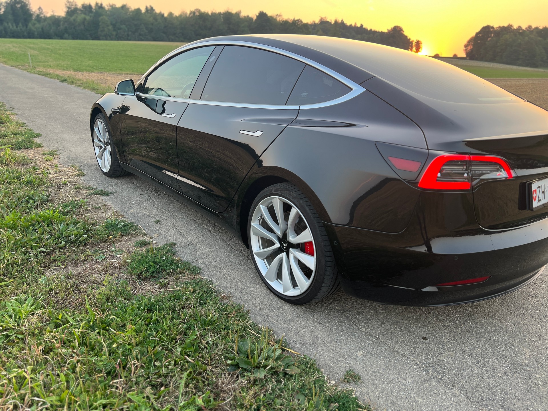 TESLA Performance Dual Motor FSD-image-5