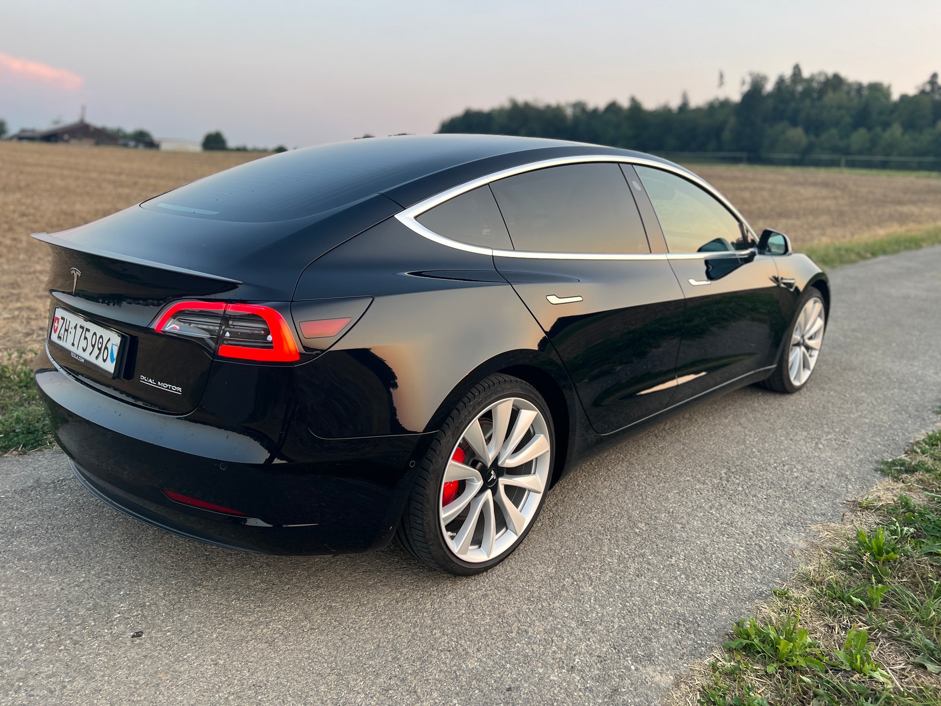 TESLA Performance Dual Motor FSD-image-3