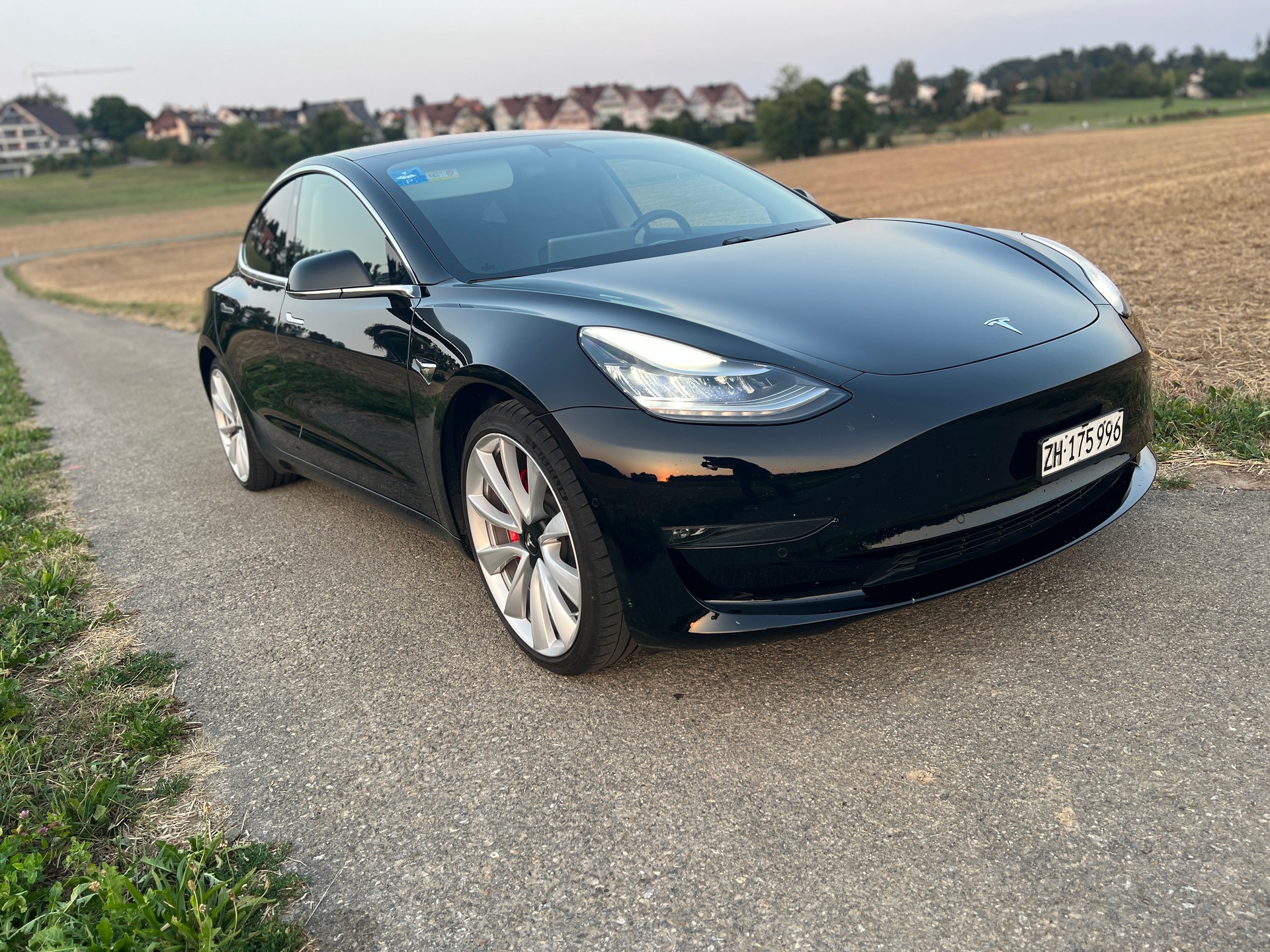 TESLA Performance Dual Motor FSD-image-2