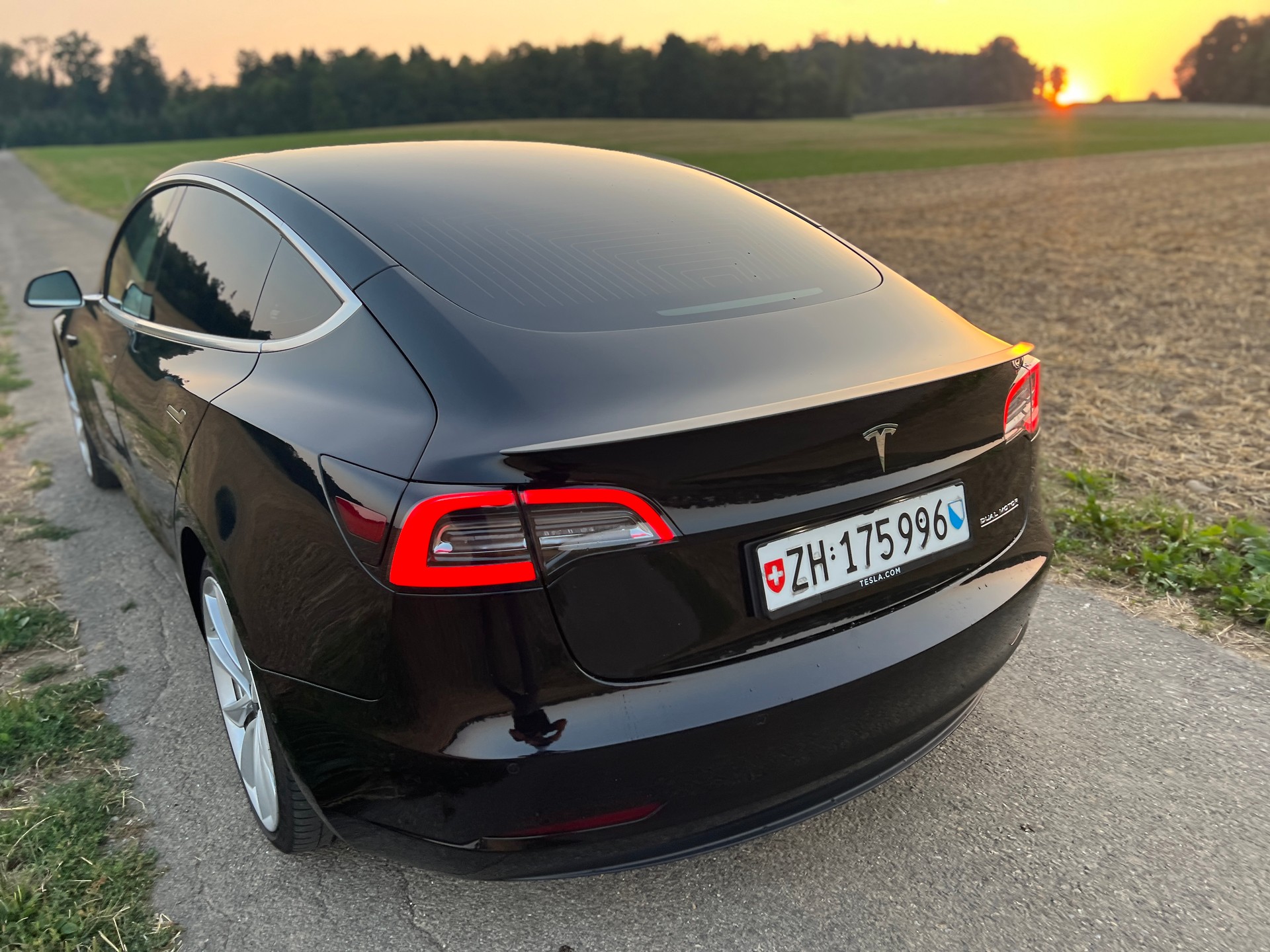 TESLA Performance Dual Motor FSD-image-4