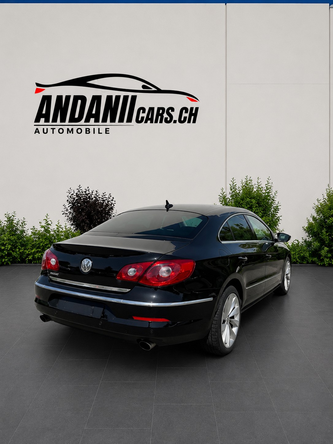 VW 3.6-image-2
