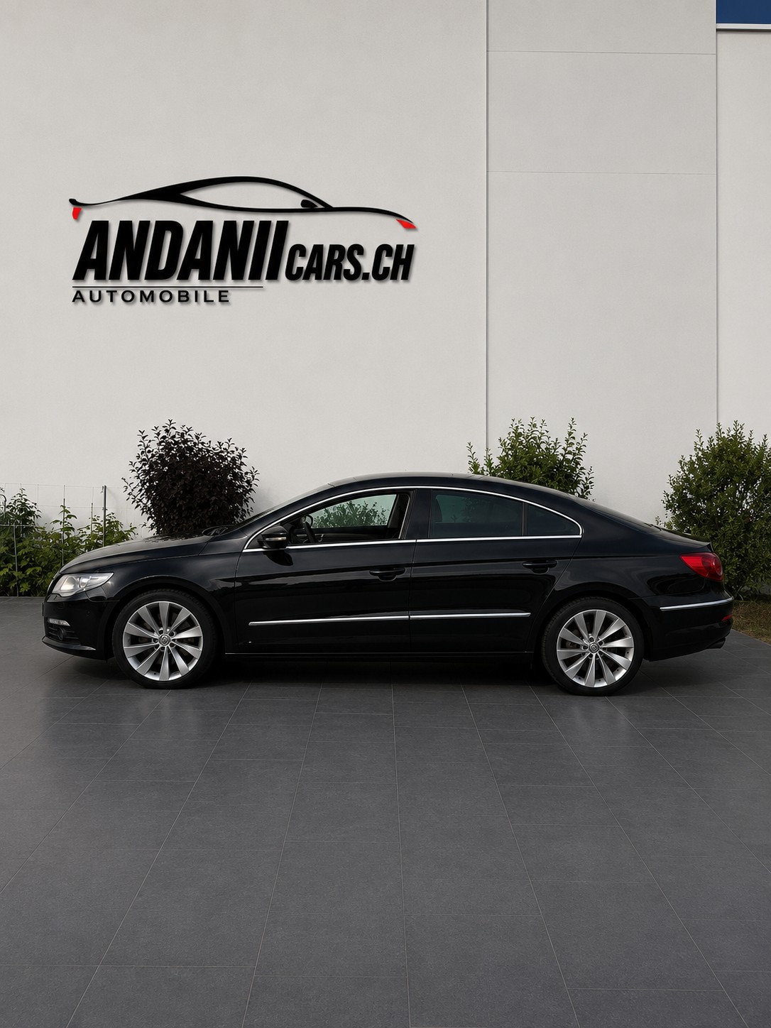 VW 3.6-image-0