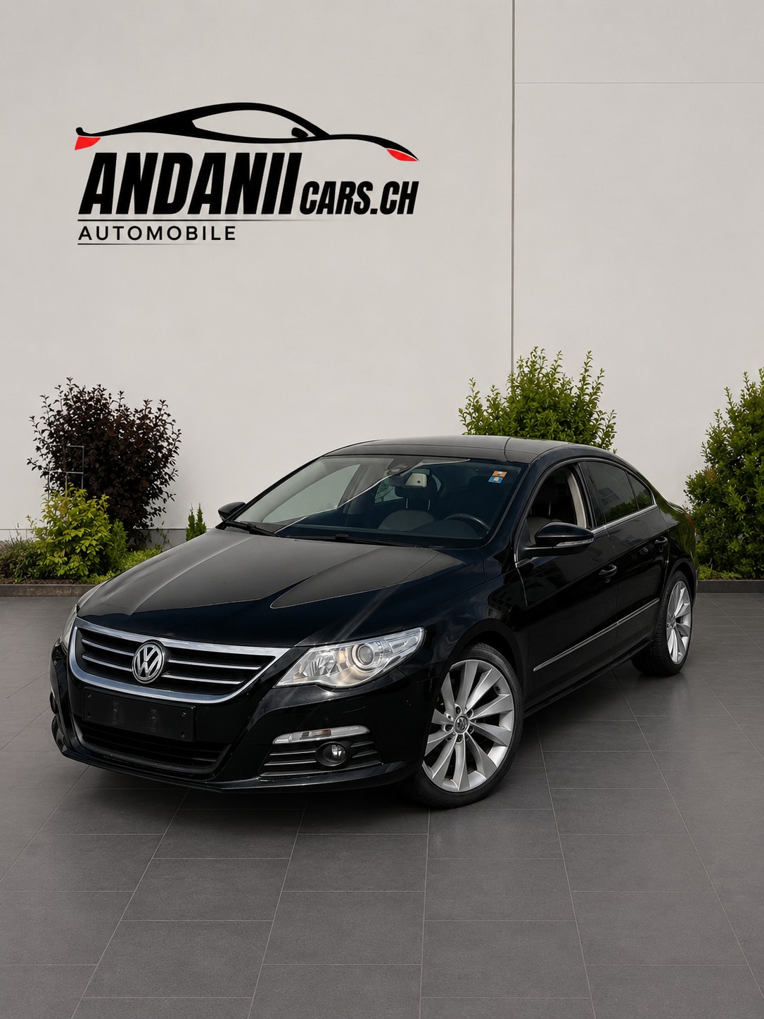 VW 3.6-image-1