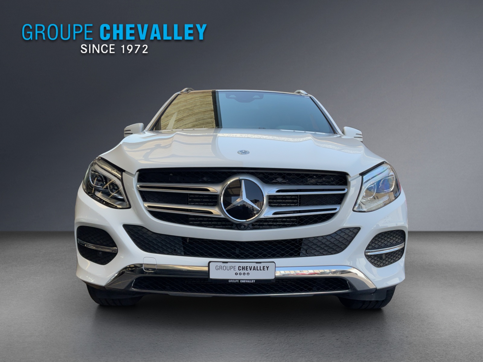 MERCEDES-BENZ GLE 250 d Executive 4M-image-1
