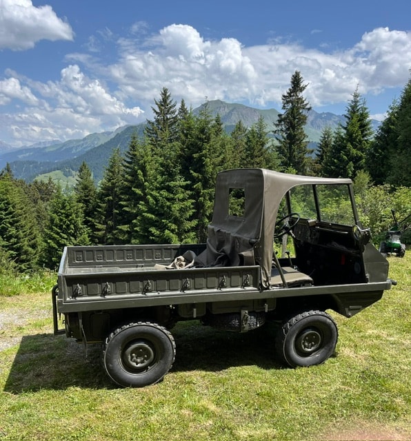PUCH Puch Haflinger 700 A-image-0