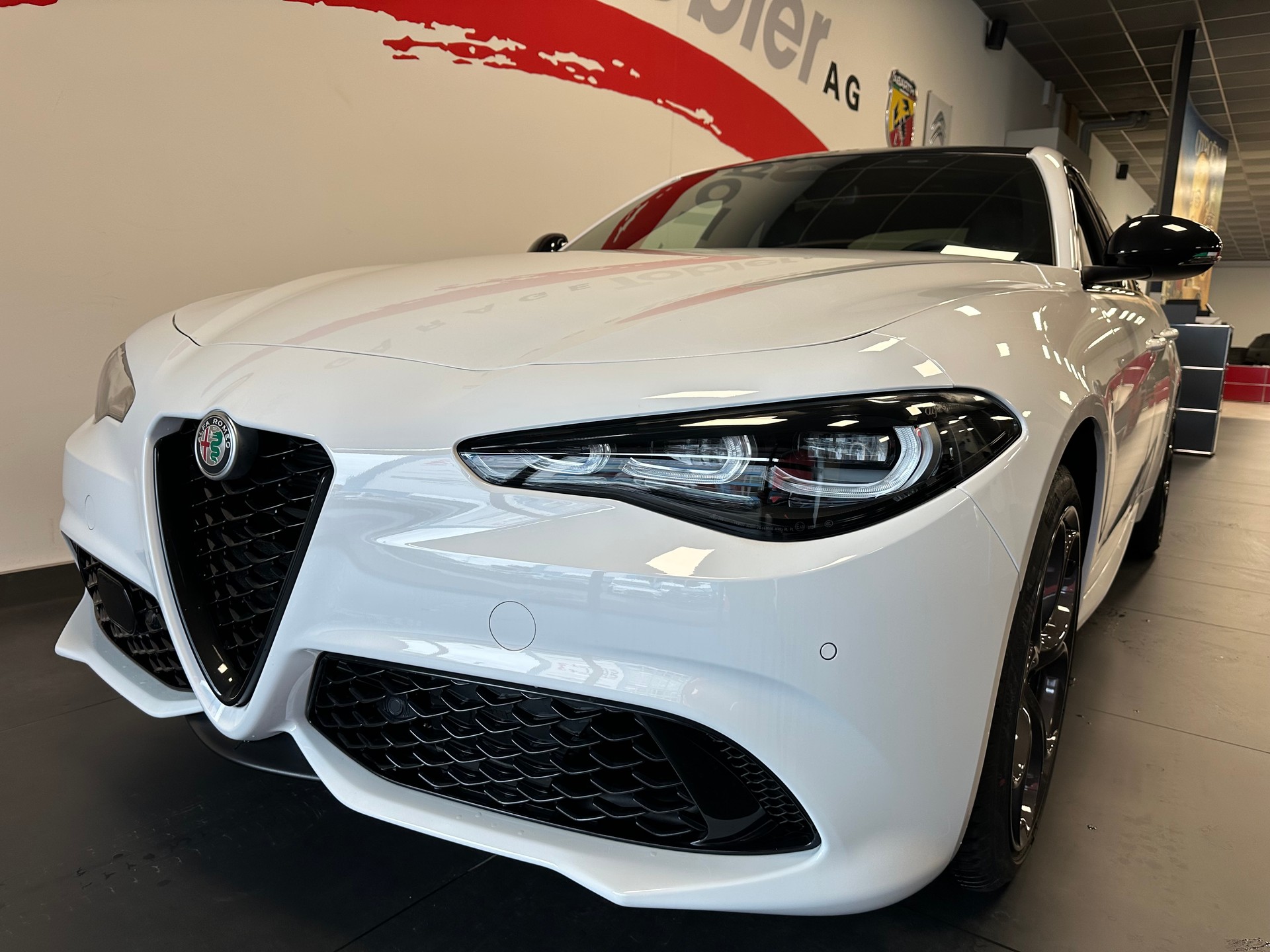 ALFA ROMEO Giulia 2.0 Tributo Italiano Q4 AT8-image-7