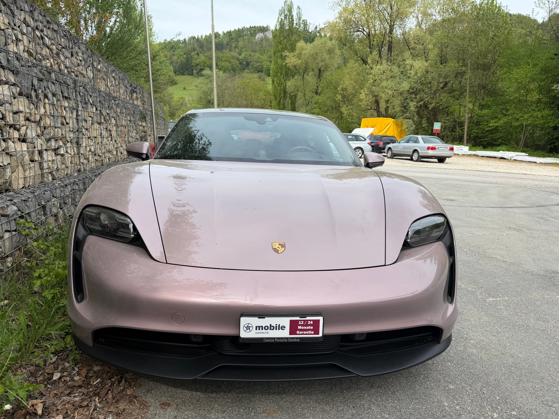 PORSCHE Taycan-image-1